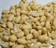 peeled oeanut kernel