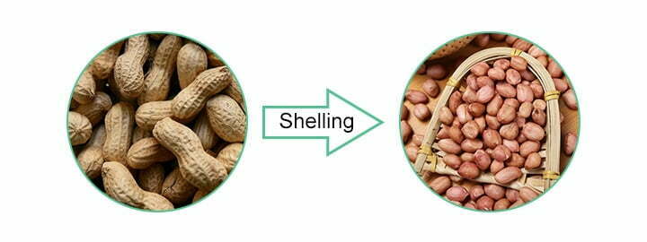 Raw peanut shelling