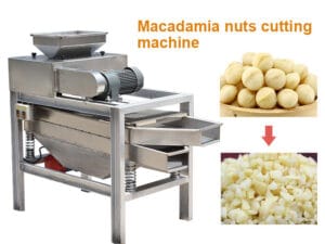 Macadamia nuts cutting machine
