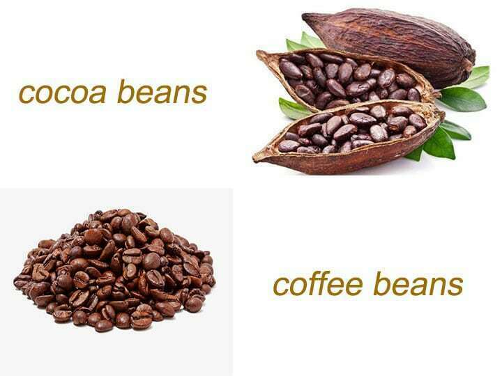 Cocoa beans and coffee beans