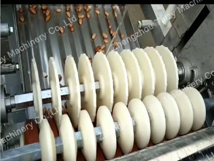 Rodillos de la máquina peladora de maní.