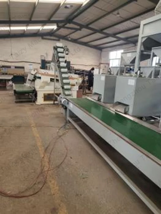 Conveyor picking belts