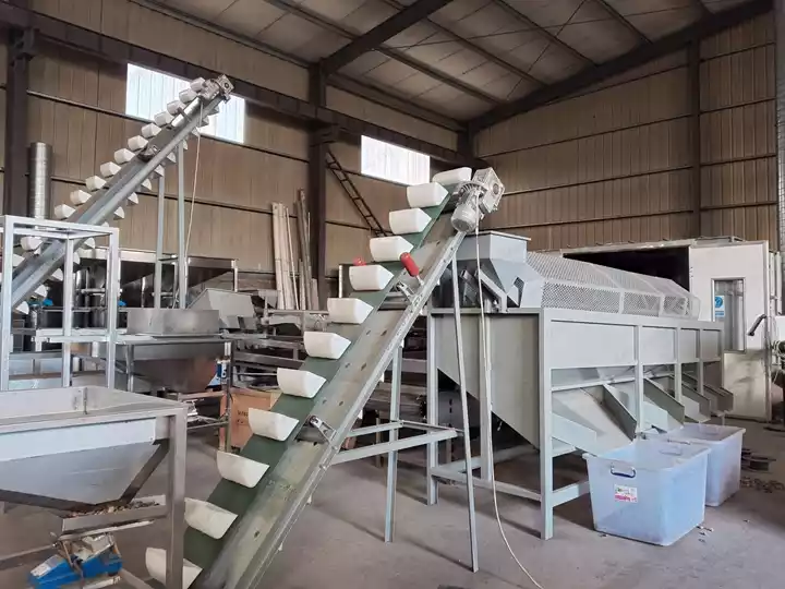 Almond Feeding Elevator