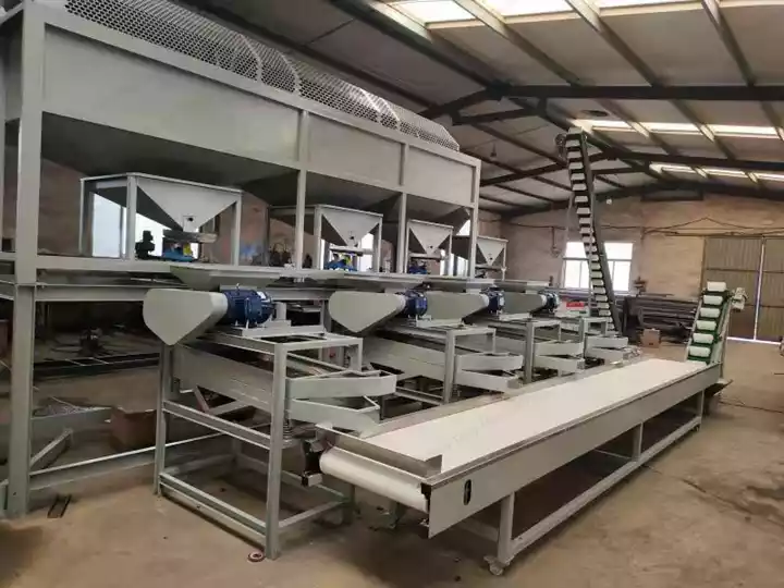 Almond Shell Removal Line