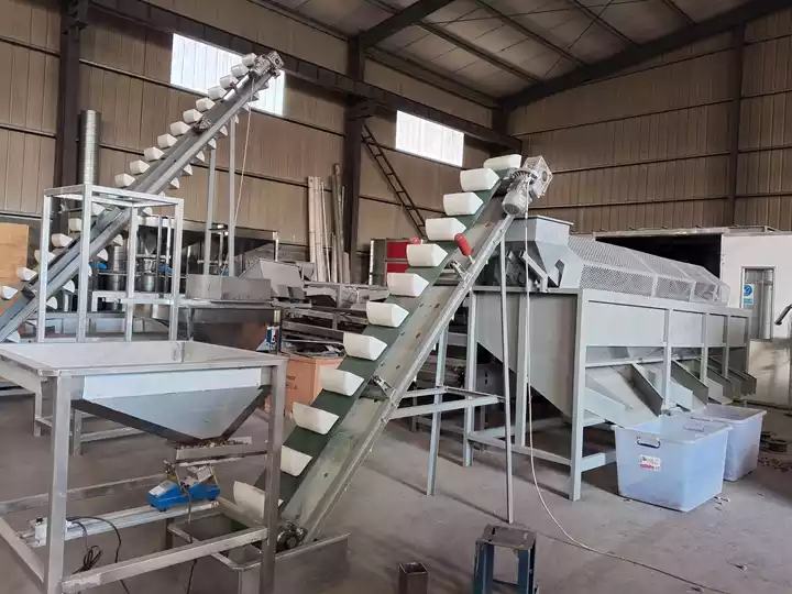 Almond Shelling Processing Plant