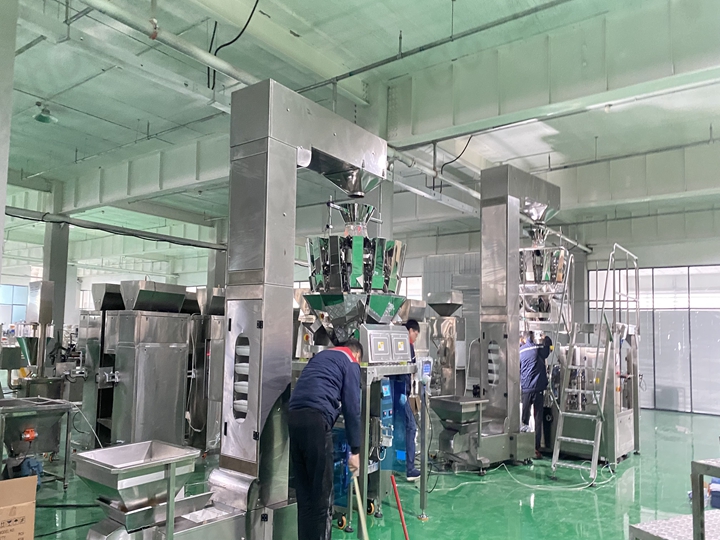 Ten-Head Nut Weigher Packager Factory