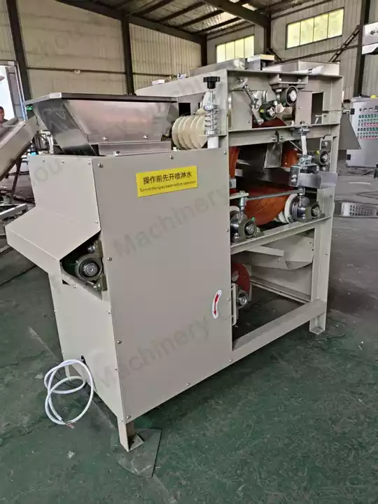 almond wet blanching peeler Spain