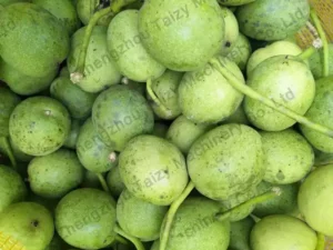 Green-skinned walnuts