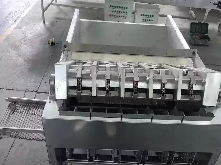 automatic green walnut peeling machine
